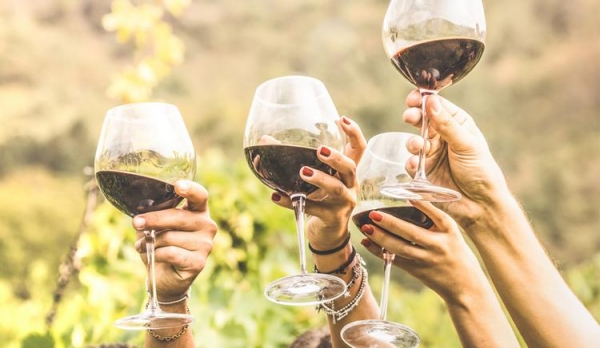 <br />
TUI приглашает на винный фестиваль на Кипре!<br />
