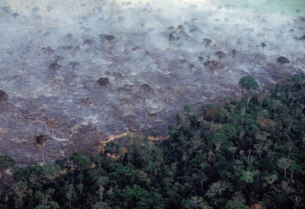 Катастрофические пожары охватили тропические леса Амазонки