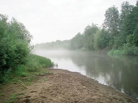 Расчистка устья реки Ловать начнется в конце августа