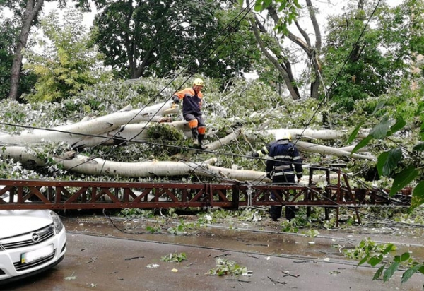 По Николаевщине пронесся ураган: повалены многочисленные деревья